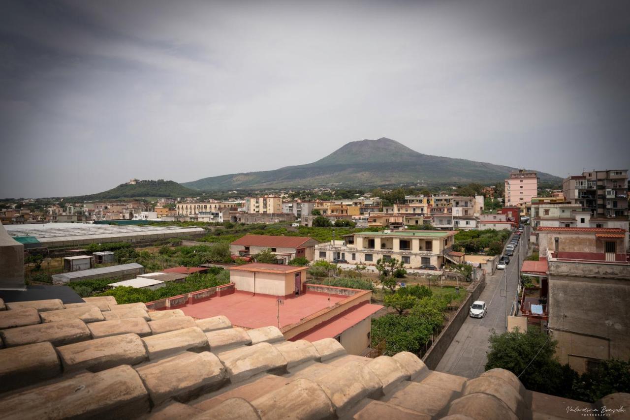 Villa Vesuviana トッレ・デル・グレコ エクステリア 写真
